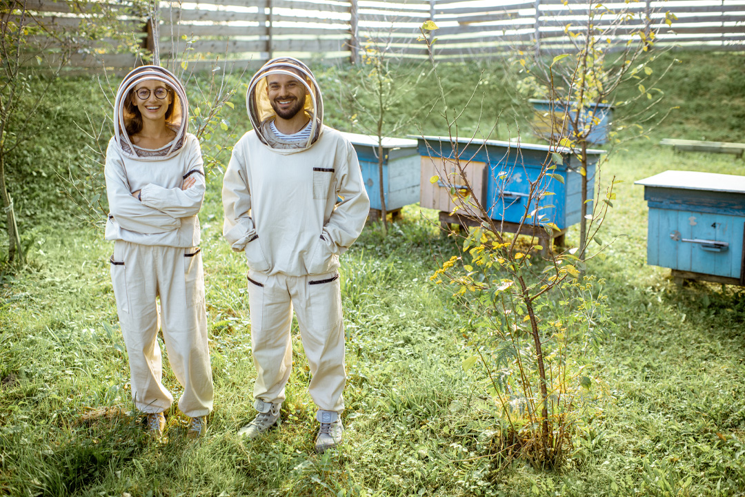 Two beekeepers in beesuits working on the apiary - Beekeeping Protective Clothing Guide