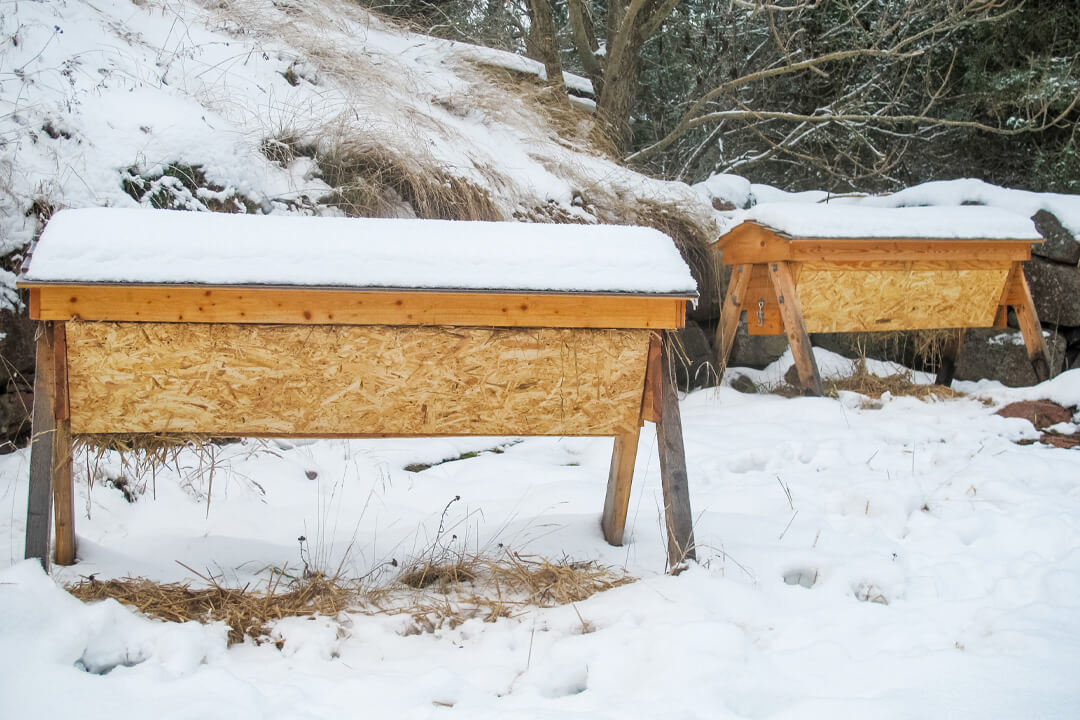 Top Bar Hive In Snow
