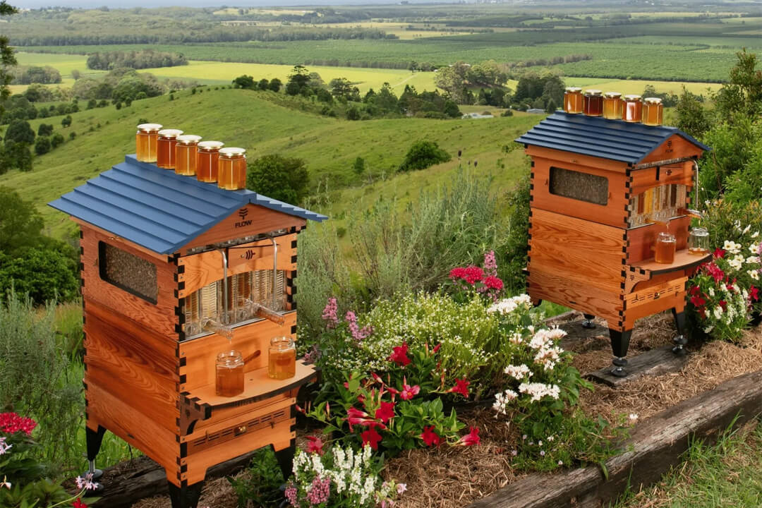 Flow Hive On Grassy Hill