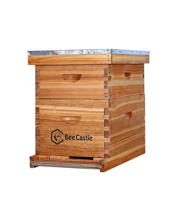 BeeCastle Beehive