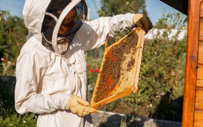 The 10 Best Bee Suits of 2023: A Beekeeper’s Guide to Choosing the Right Armor for the Hive